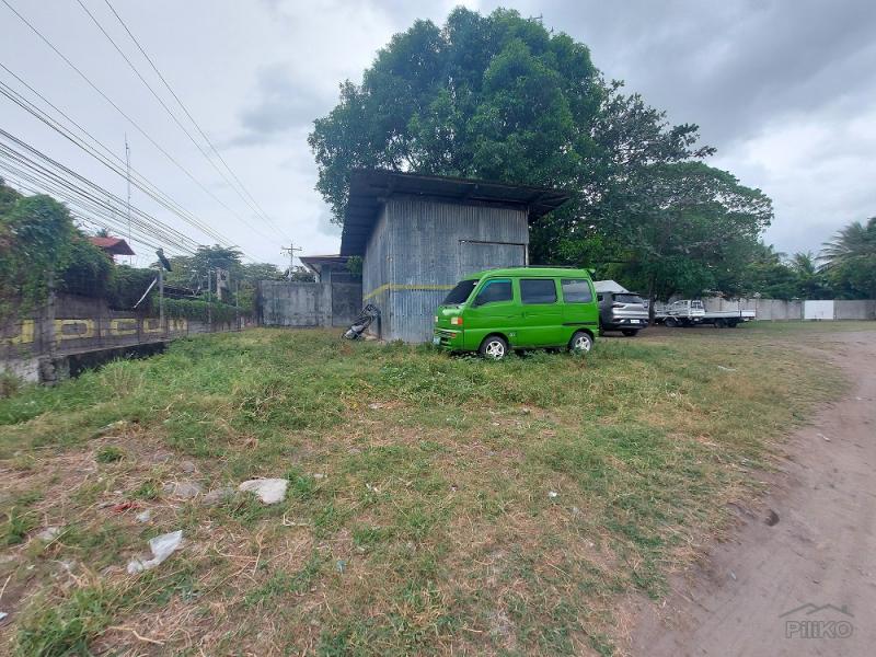 Commercial Lot for sale in Dumaguete - image 5