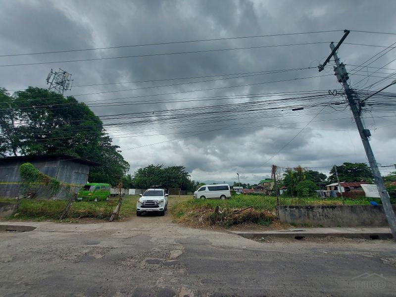 Commercial Lot for sale in Dumaguete - image 6