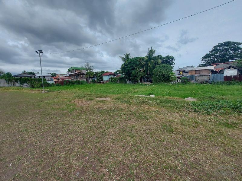 Commercial Lot for sale in Dumaguete - image 9