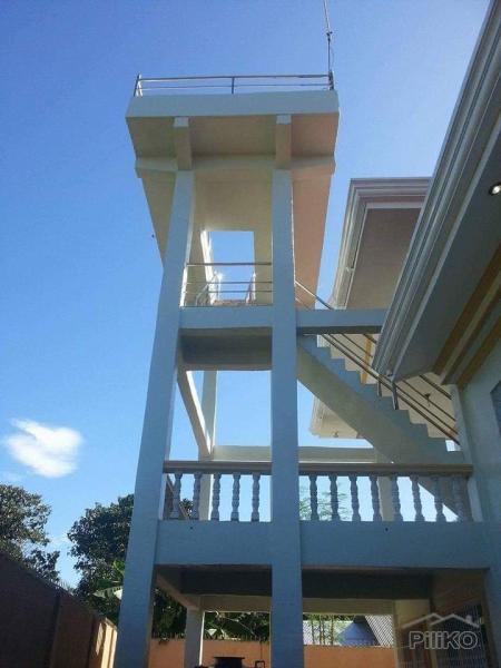 4 bedroom House and Lot for sale in Siquijor - image 14