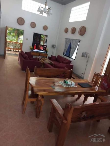 4 bedroom House and Lot for sale in Siquijor - image 20