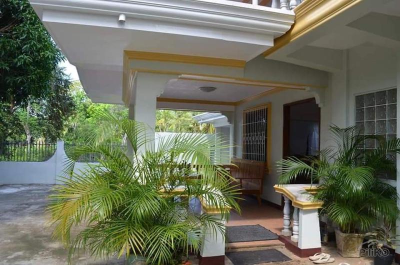 4 bedroom House and Lot for sale in Siquijor in Philippines - image