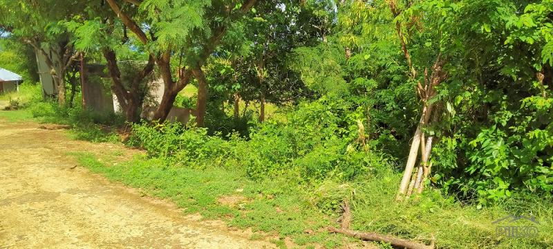 Residential Lot for sale in Lazi