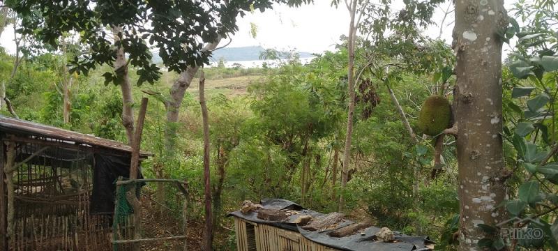 Residential Lot for sale in Lazi - image 4