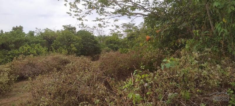 Residential Lot for sale in Lazi - image 6