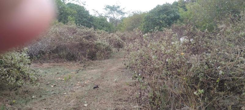 Residential Lot for sale in Lazi in Philippines - image