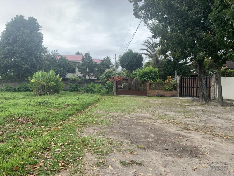 Residential Lot for sale in Dumaguete - image 10