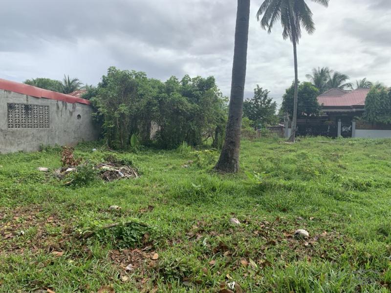 Residential Lot for sale in Dumaguete - image 11