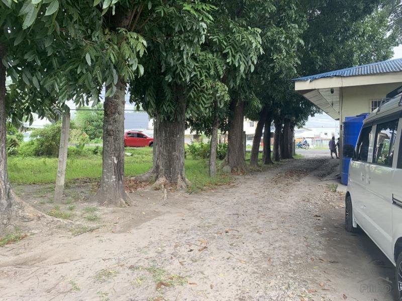 Residential Lot for sale in Dumaguete - image 12