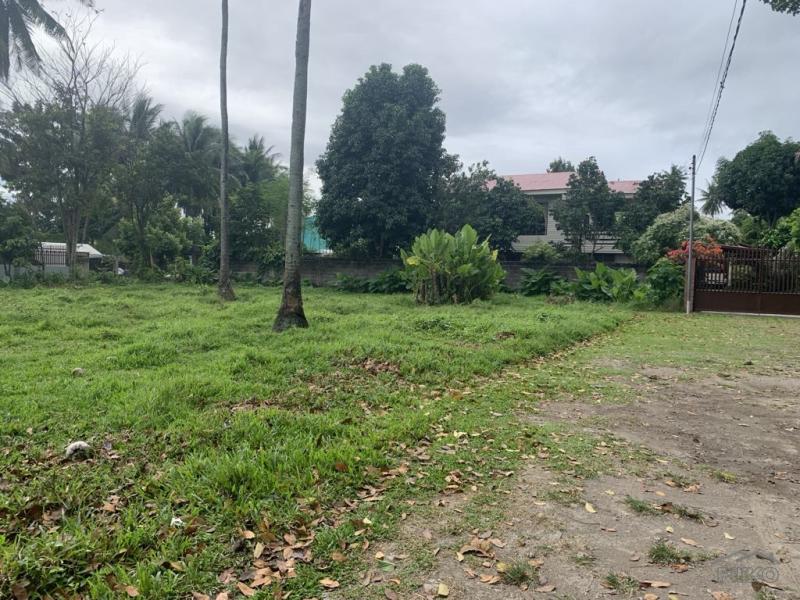 Pictures of Residential Lot for sale in Dumaguete
