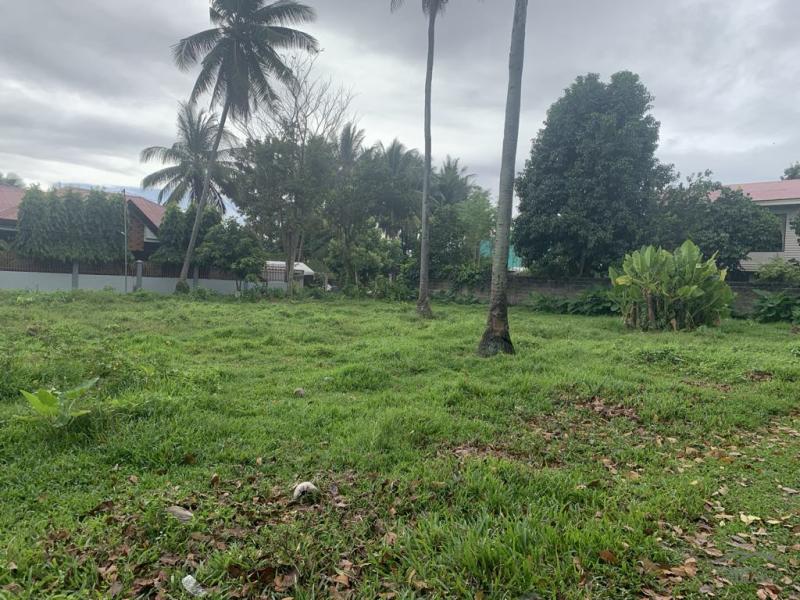 Residential Lot for sale in Dumaguete