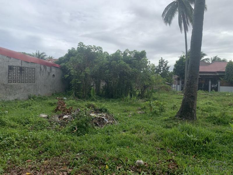 Residential Lot for sale in Dumaguete in Negros Oriental