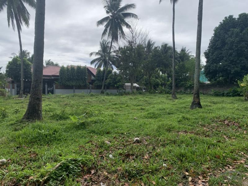 Residential Lot for sale in Dumaguete in Negros Oriental - image