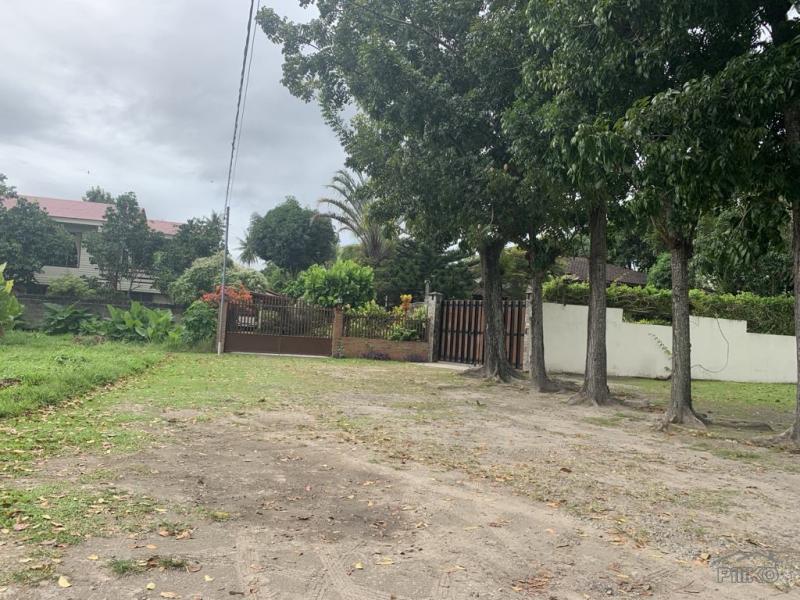 Residential Lot for sale in Dumaguete - image 8