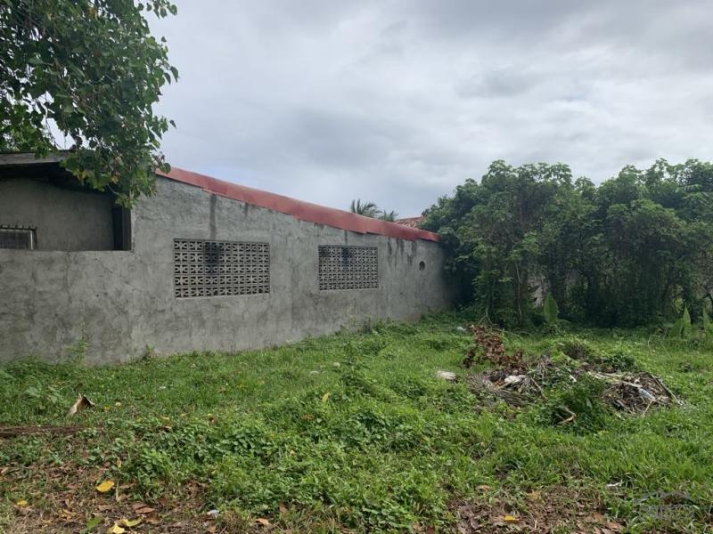 Residential Lot for sale in Dumaguete - image 9