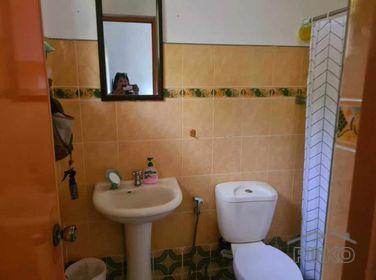3 bedroom House and Lot for sale in Bacong - image 10