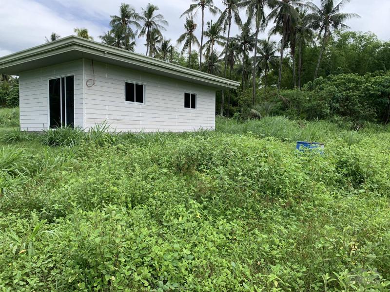 Warehouse for sale in Dauin - image 11
