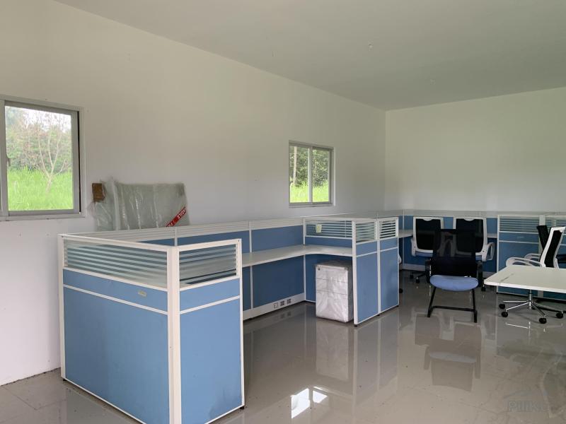 Warehouse for sale in Dauin - image 14