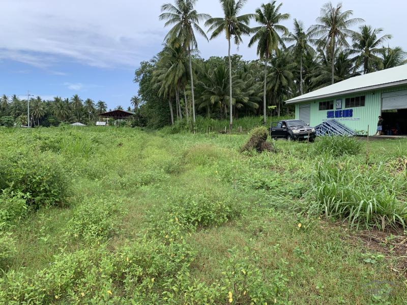 Warehouse for sale in Dauin - image 19
