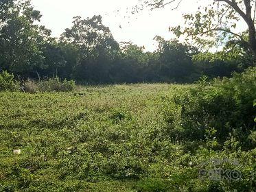 Picture of Residential Lot for sale in Siquijor in Philippines