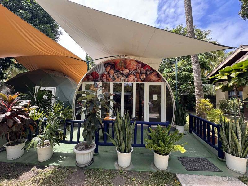 Resort Property for sale in Zamboanguita in Philippines