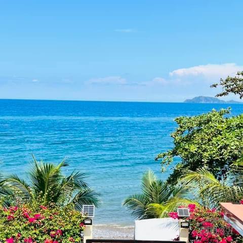 Picture of 4 bedroom House and Lot for sale in Dauin in Philippines