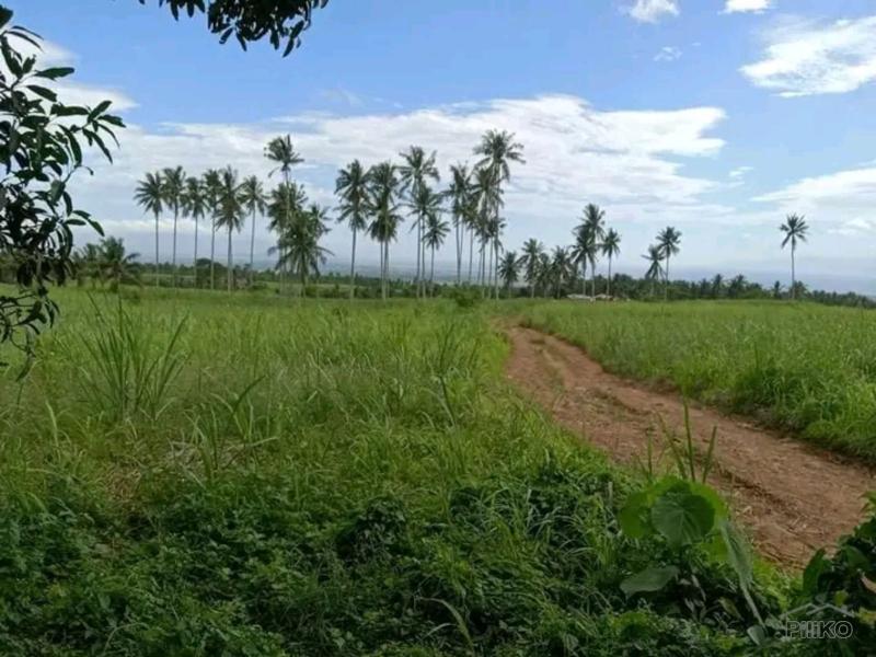 Picture of Residential Lot for sale in Sibulan