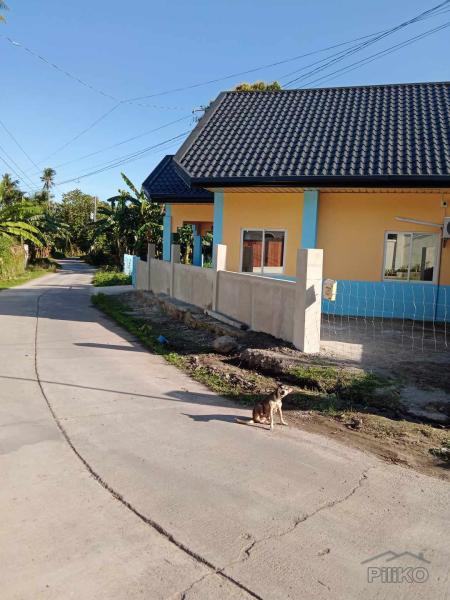 2 bedroom House and Lot for sale in Bacong - image 10