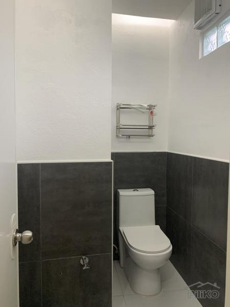 2 bedroom House and Lot for sale in Bacong - image 13