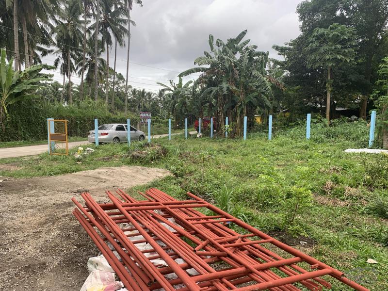 2 bedroom House and Lot for sale in Bacong - image 18
