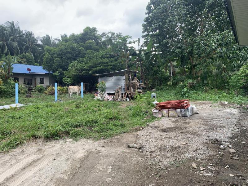 2 bedroom House and Lot for sale in Bacong - image 19