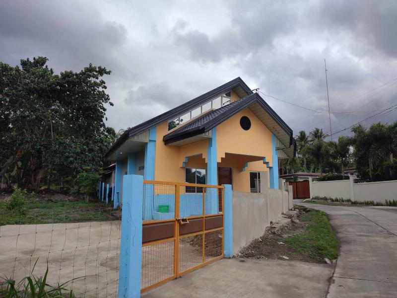 Pictures of 2 bedroom House and Lot for sale in Bacong
