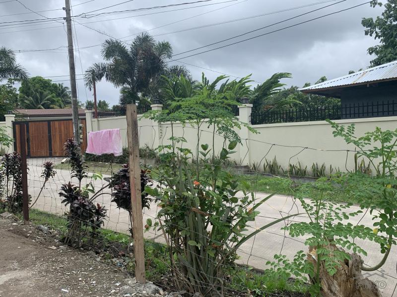 2 bedroom House and Lot for sale in Bacong - image 20