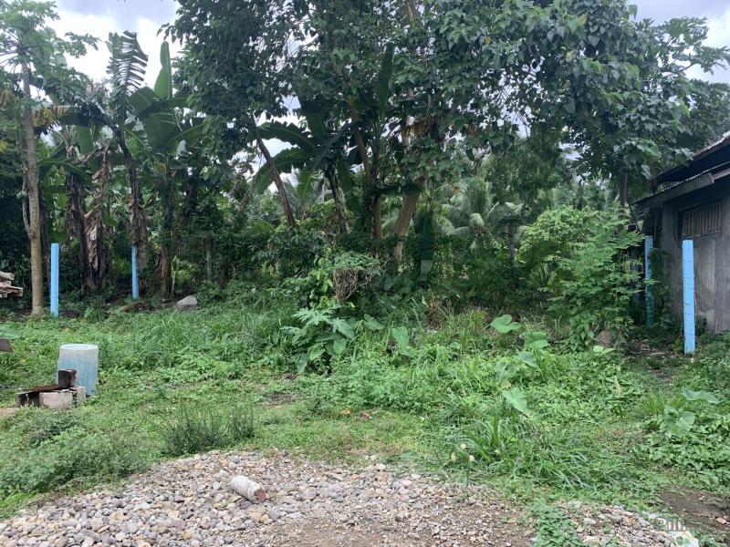 2 bedroom House and Lot for sale in Bacong - image 21