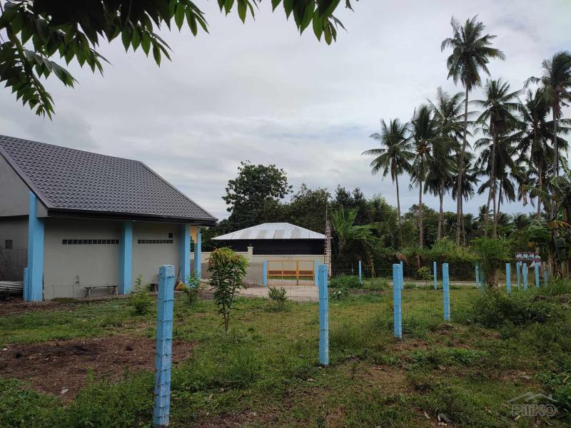 2 bedroom House and Lot for sale in Bacong in Philippines