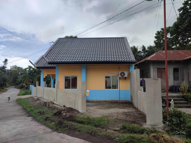 2 bedroom House and Lot for sale in Bacong - image 6