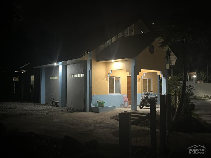 2 bedroom House and Lot for sale in Bacong in Negros Oriental - image
