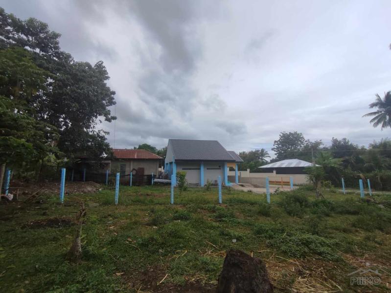 2 bedroom House and Lot for sale in Bacong in Philippines - image
