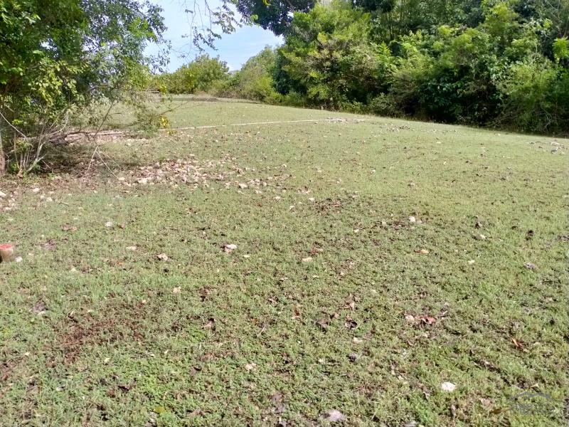 Picture of Residential Lot for sale in Enrique Villanueva in Siquijor