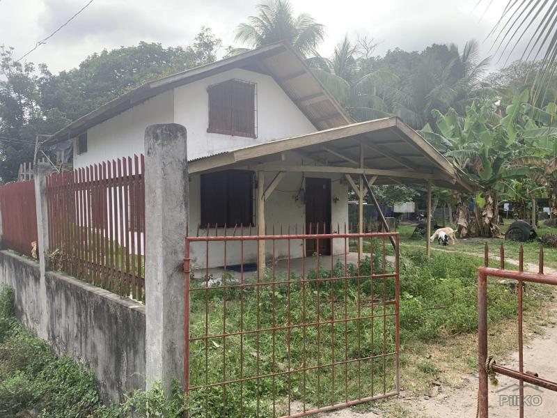 Pictures of Residential Lot for sale in Dumaguete