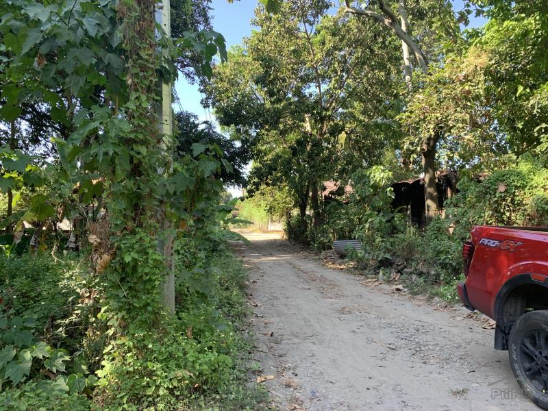Residential Lot for sale in Dumaguete - image 10
