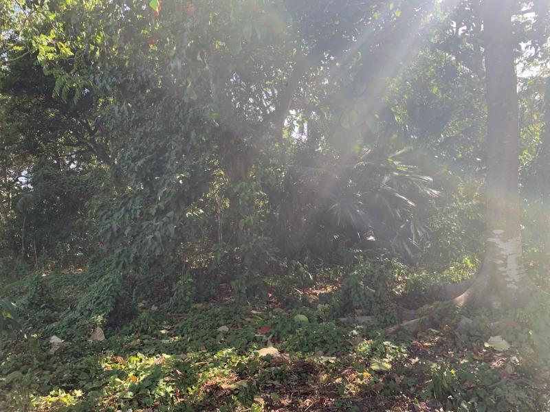 Residential Lot for sale in Dumaguete - image 3