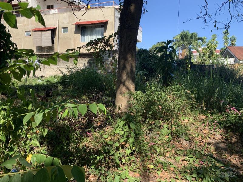 Residential Lot for sale in Dumaguete - image 5
