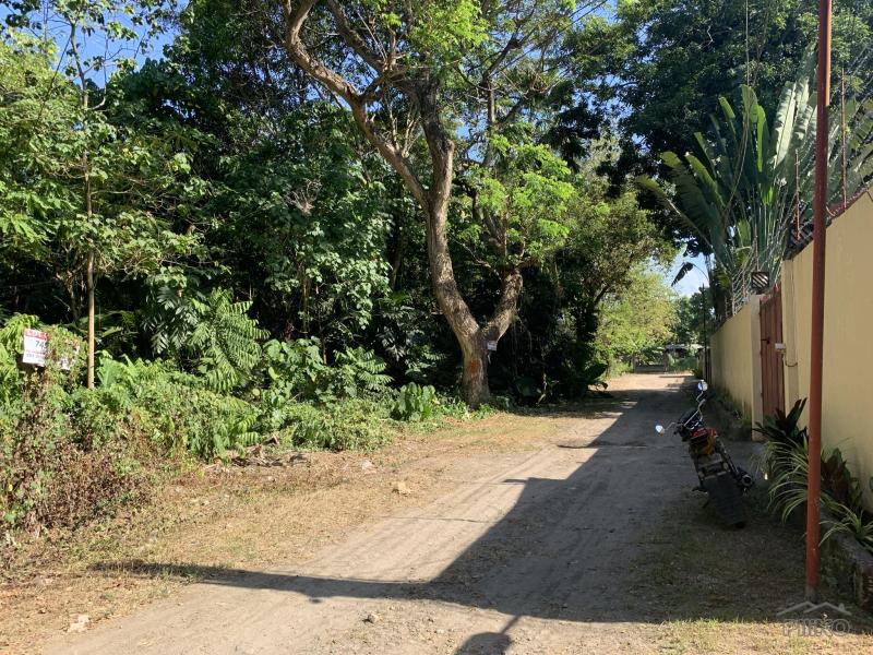 Picture of Residential Lot for sale in Dumaguete in Philippines