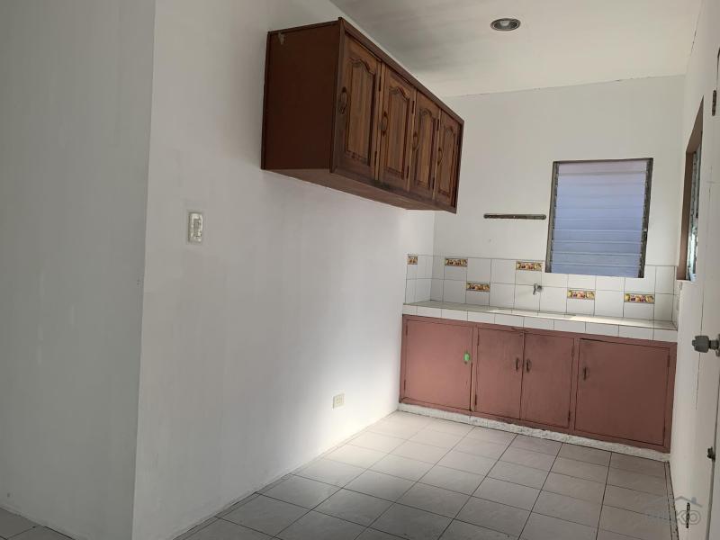 3 bedroom House and Lot for sale in Dumaguete - image 7