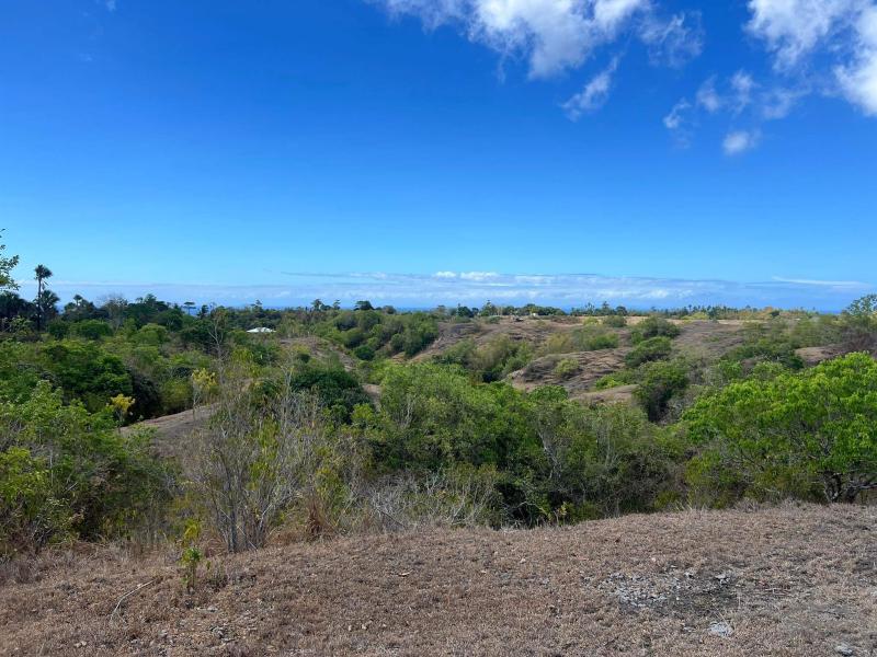 Residential Lot for sale in Lazi