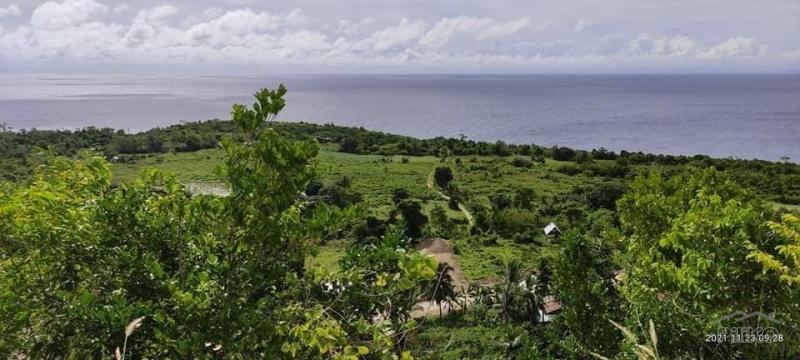 Residential Lot for sale in Lazi in Siquijor