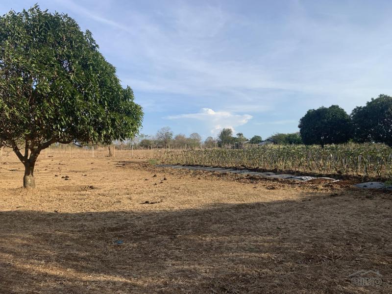 3 bedroom House and Lot for sale in Zamboanguita - image 22