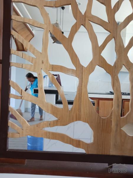 House and Lot for sale in Siquijor - image 13