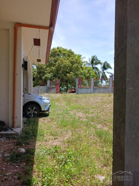 House and Lot for sale in Siquijor - image 19
